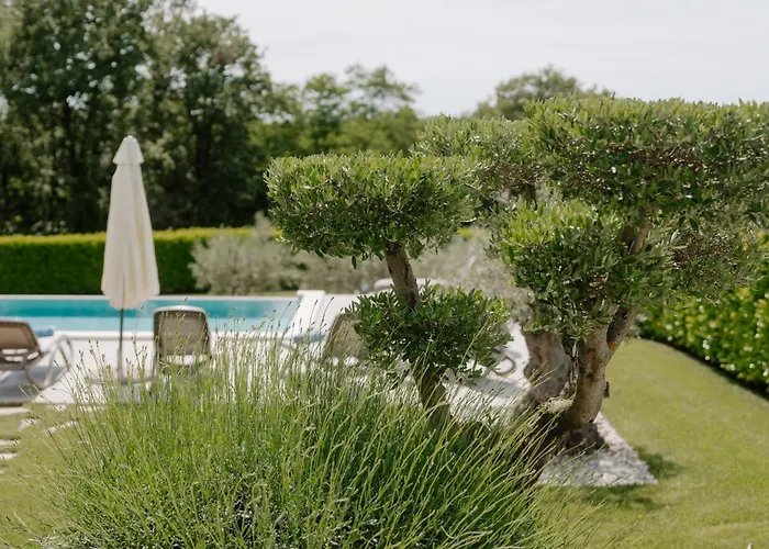 Maria Markovici Vila *