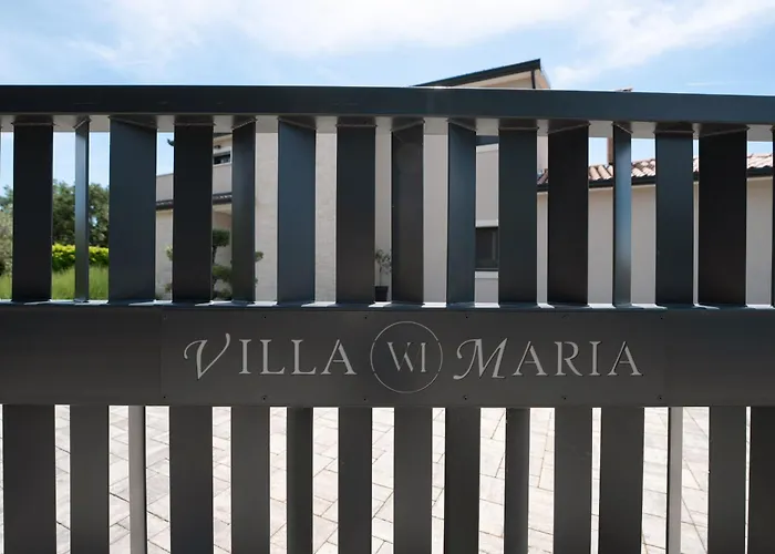 Vila Maria Markovici *