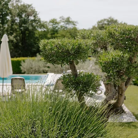 Maria Markovici Willa *