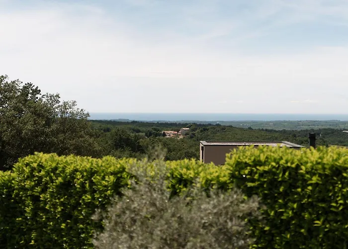 빌라 Maria Markovici 비지나다